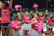 25th Oct 2013 - Cheerleaders!