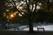 26th Oct 2013 - Colonial Lake, Charleston, SC