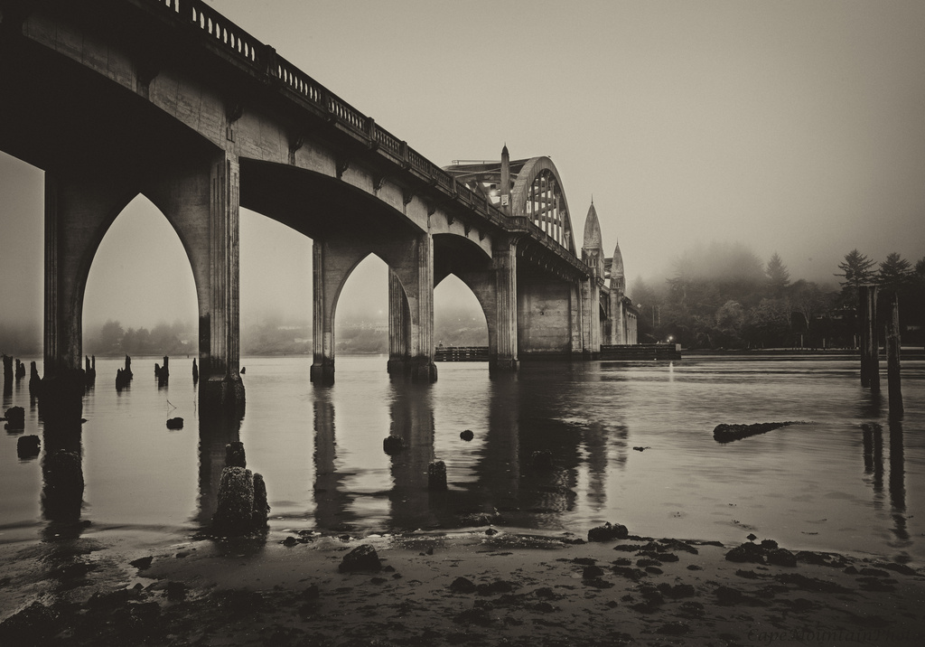 Under the Bridge With Fog in Black and White by jgpittenger