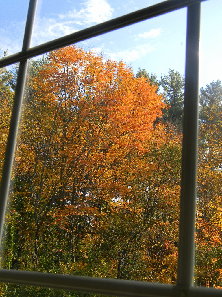 Window to the season..... by homeschoolmom