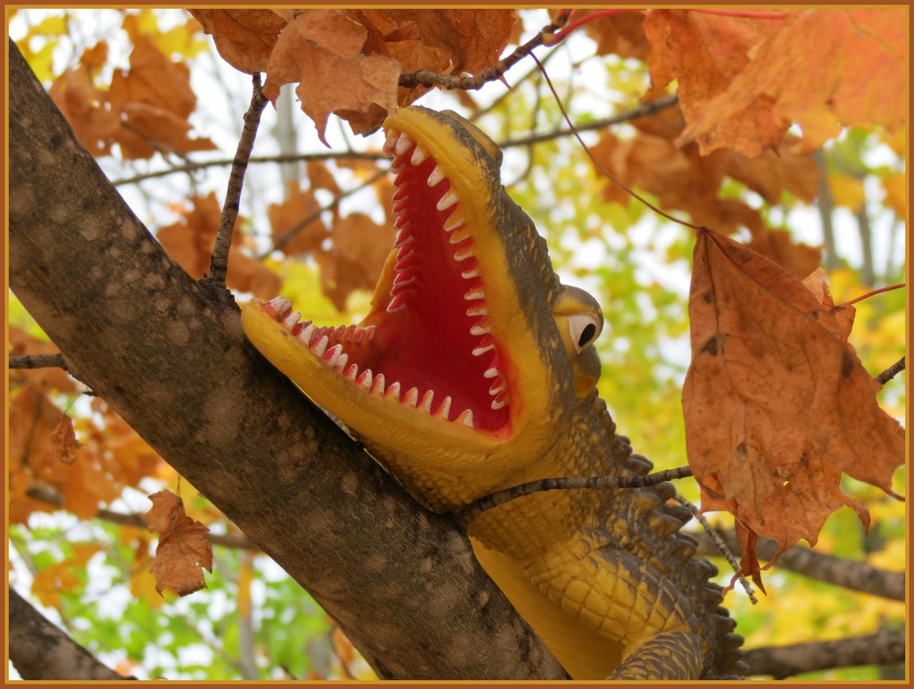Croctober:  Autumn Climb by juliedduncan