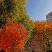 Fall in Salt Lake City by hjbenson