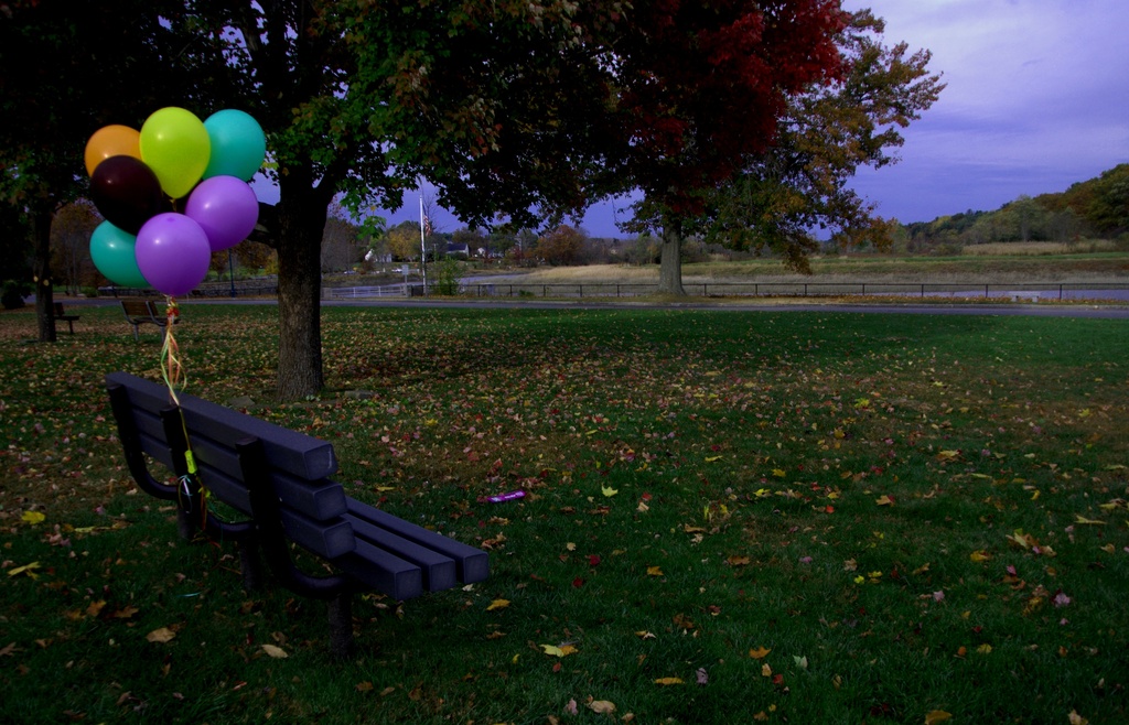 Beautiful Bench Balloons by kevin365