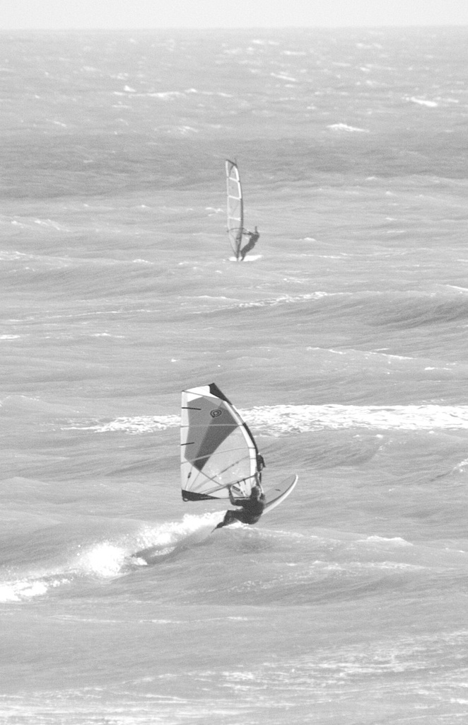 Windsurfers by nicolaeastwood