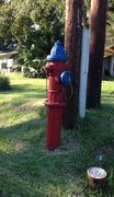 30th Oct 2013 - Fire Hydrant