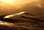 26th Oct 2013 - Golden wave