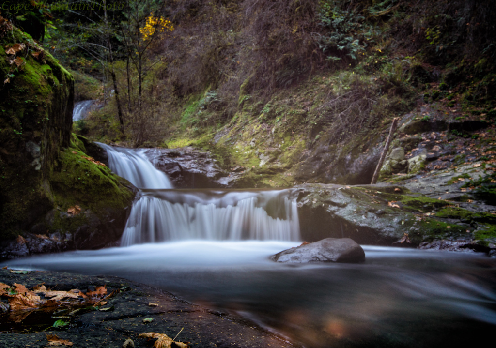 Sweet Creek Falls 2013  by jgpittenger