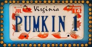 28th Oct 2013 - Seasonal License Plate