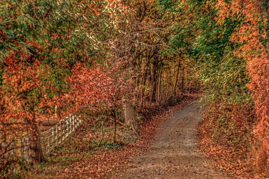 The Path by sbolden