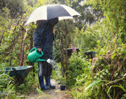 28th Oct 2013 - Gardening in all weathers