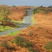 Road to the Moors by fishers