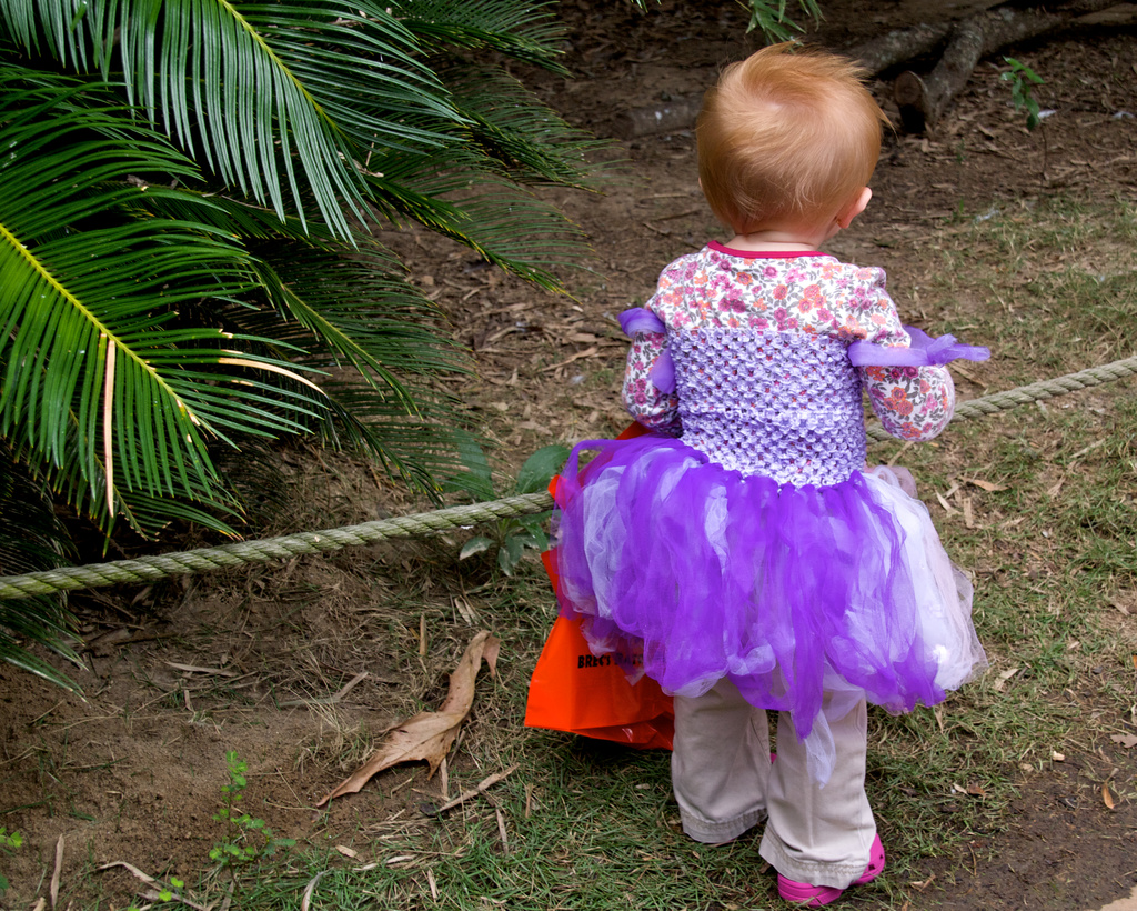 Boo at the Zoo by eudora