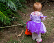 27th Oct 2013 - Boo at the Zoo
