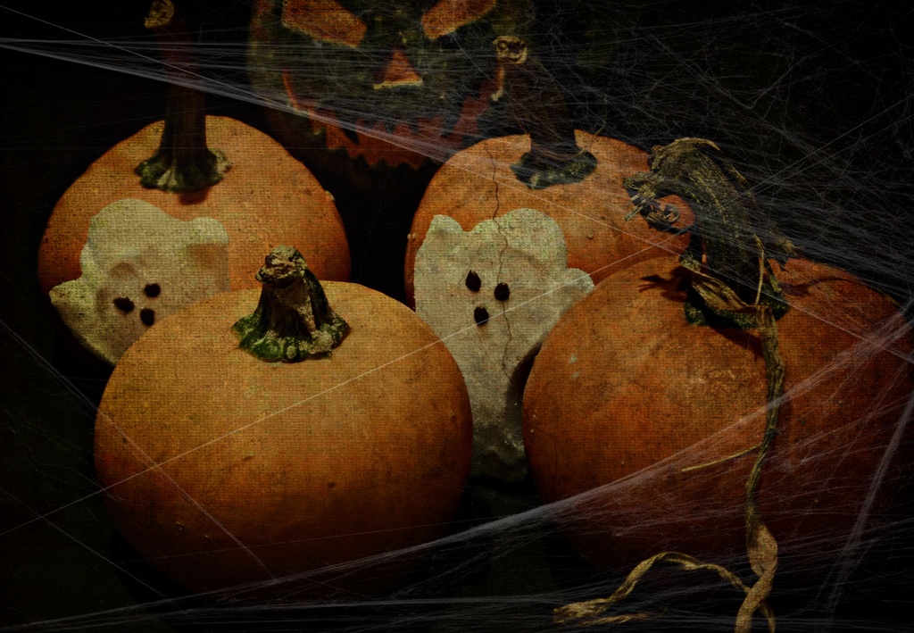 Ghosts in the Pumpkin Patch by peggysirk