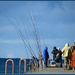Steelhead Fishing by juliedduncan