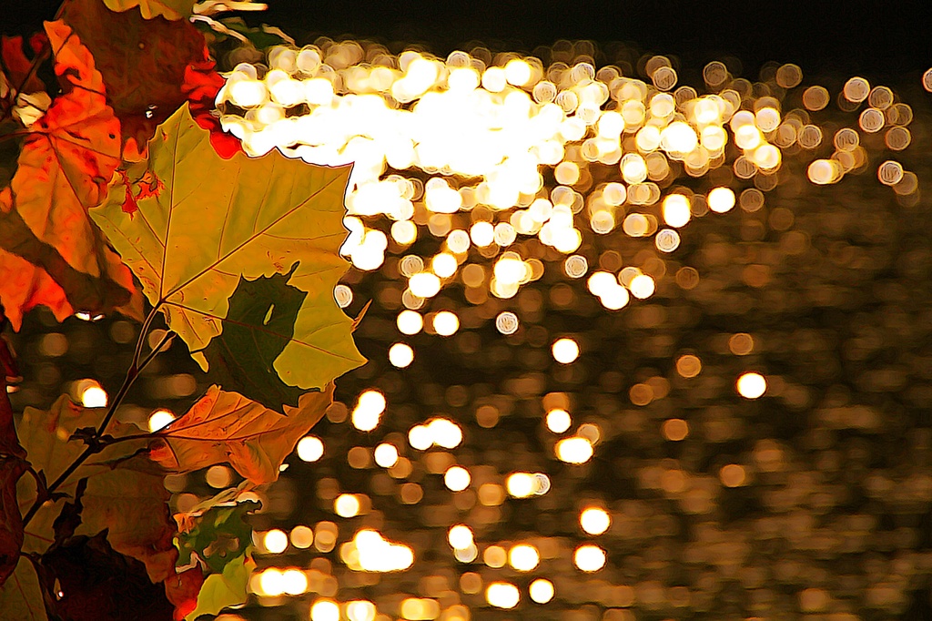 Autumn Glimmers by sbolden