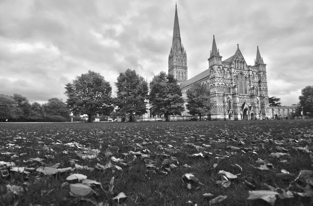 Salisbury Cathedral ~ 1 by seanoneill
