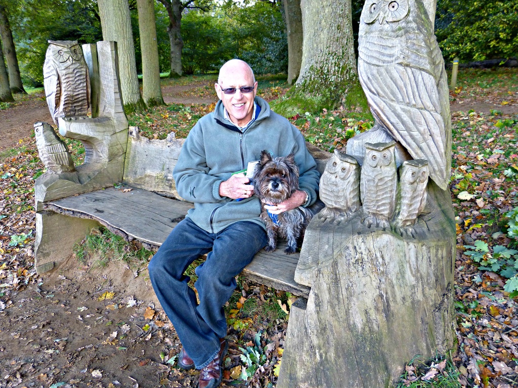 Winkworth Arboretum: carved seat by quietpurplehaze