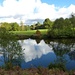 Winkworth Arboretum: the lake by quietpurplehaze