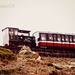Snowdon Mountain Railway. by darrenboyj
