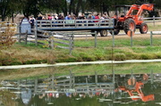 29th Oct 2013 - Hayride Reflections