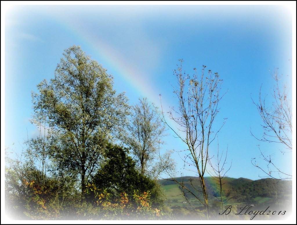 Over the rainbow  by beryl