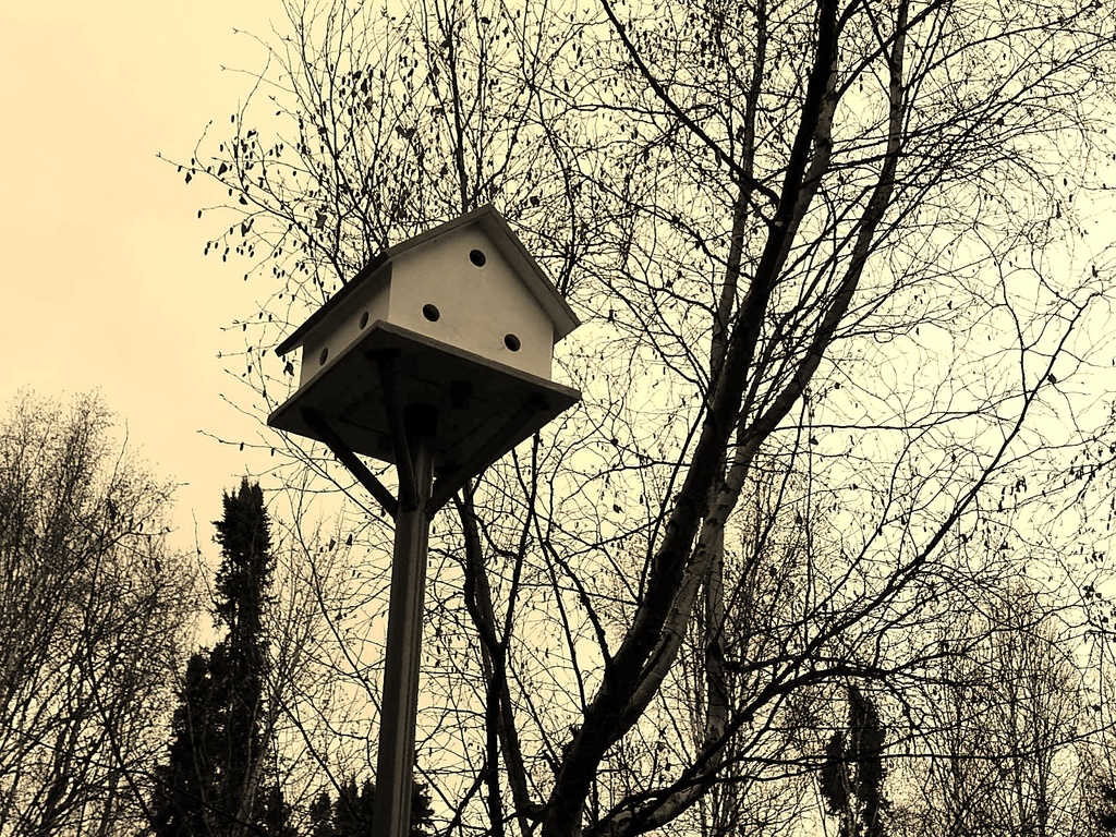 Purple Marten Birdhouse by bjywamer
