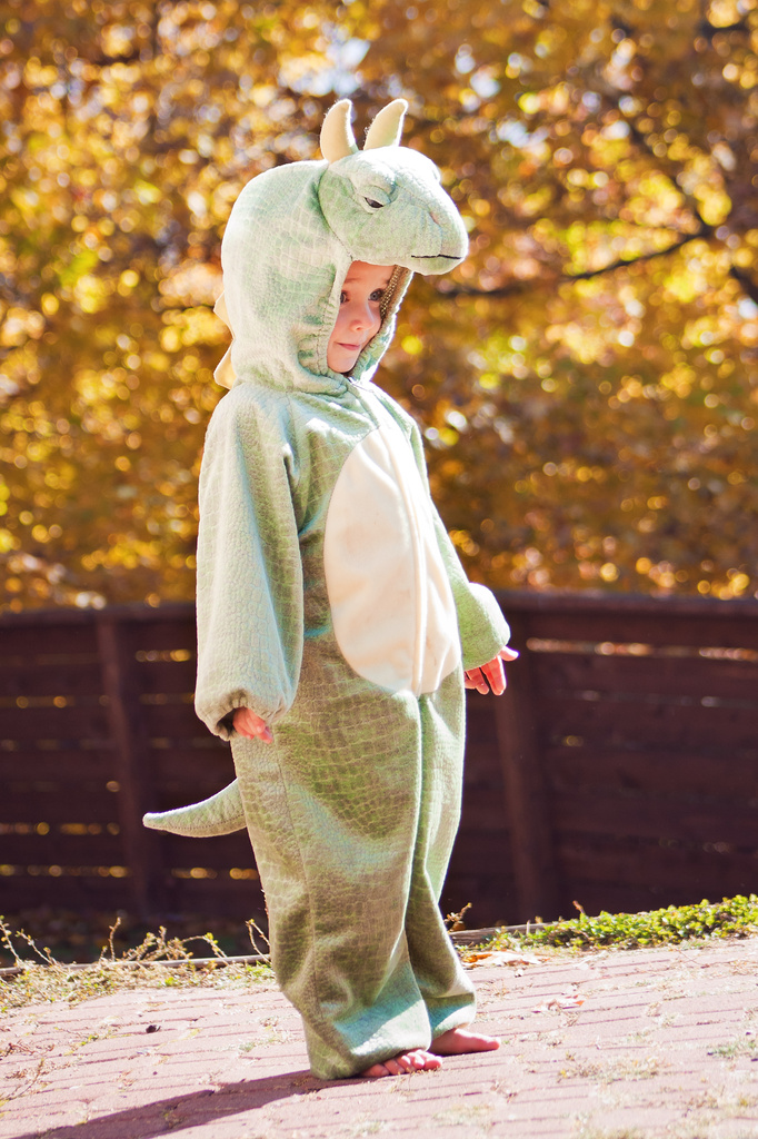 Our own little dinosaur by kiwichick