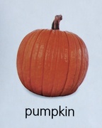 30th Oct 2013 - Pumpkin