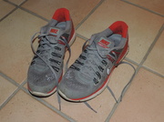 29th Oct 2013 - Running Shoes