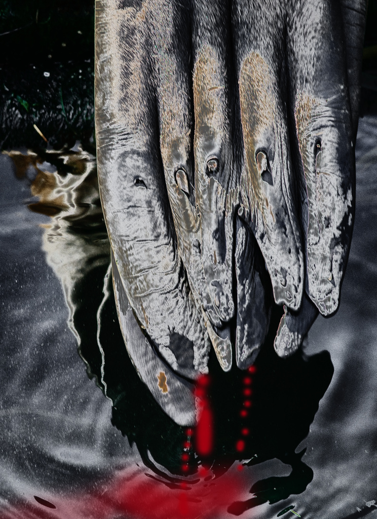 Zombie Hands 2  by jgpittenger
