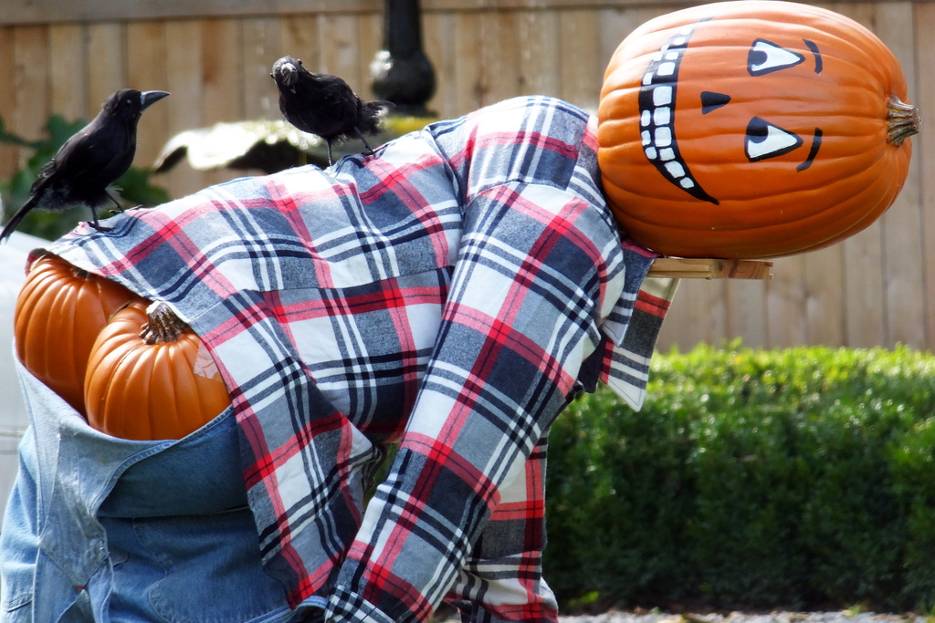Halloween Fun by linnypinny