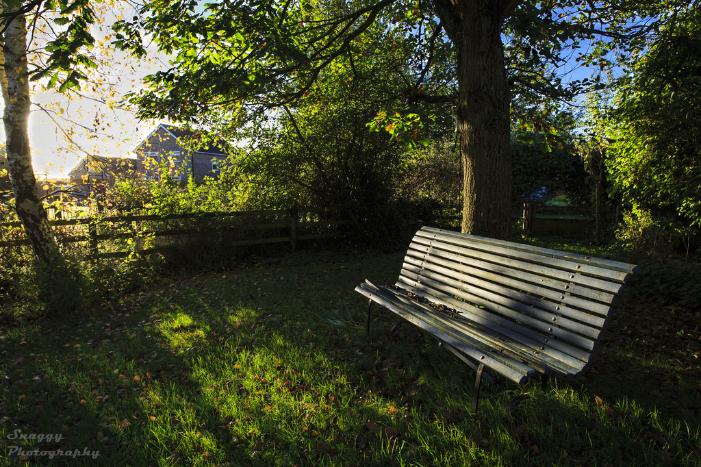 Day 302 - Neighbourly Bench by snaggy