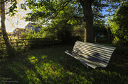 28th Oct 2013 - Day 302 - Neighbourly Bench
