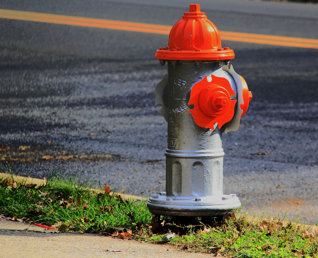 Orange Topped Hydrants by digitalrn