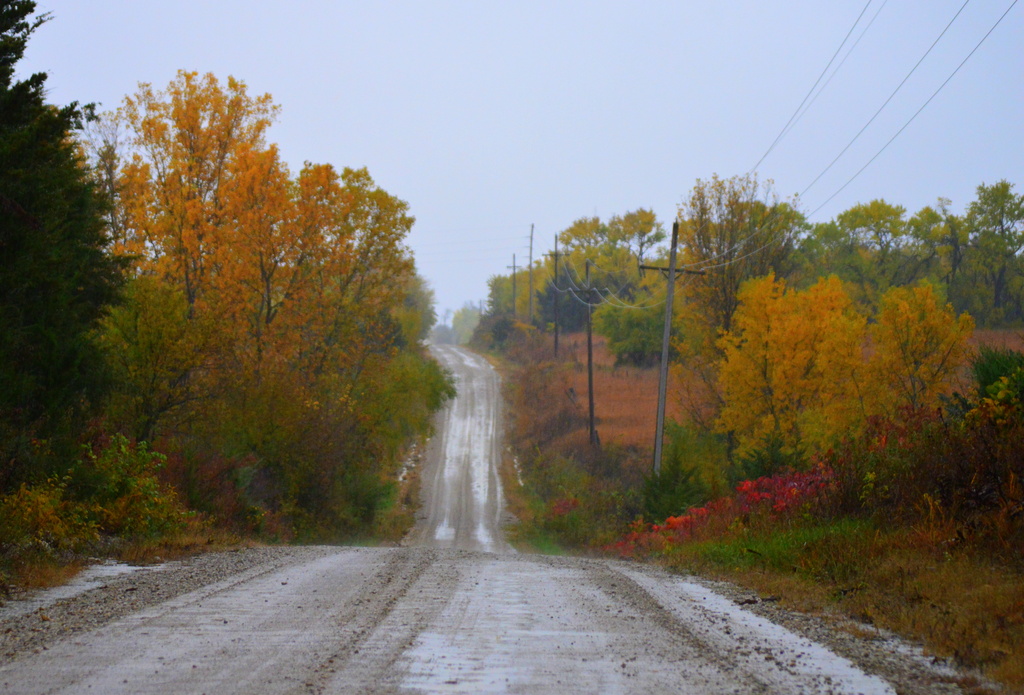 Autumn Road by kareenking
