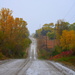 Autumn Road by kareenking