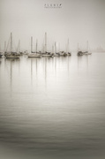 30th Oct 2013 - Misty Harbor
