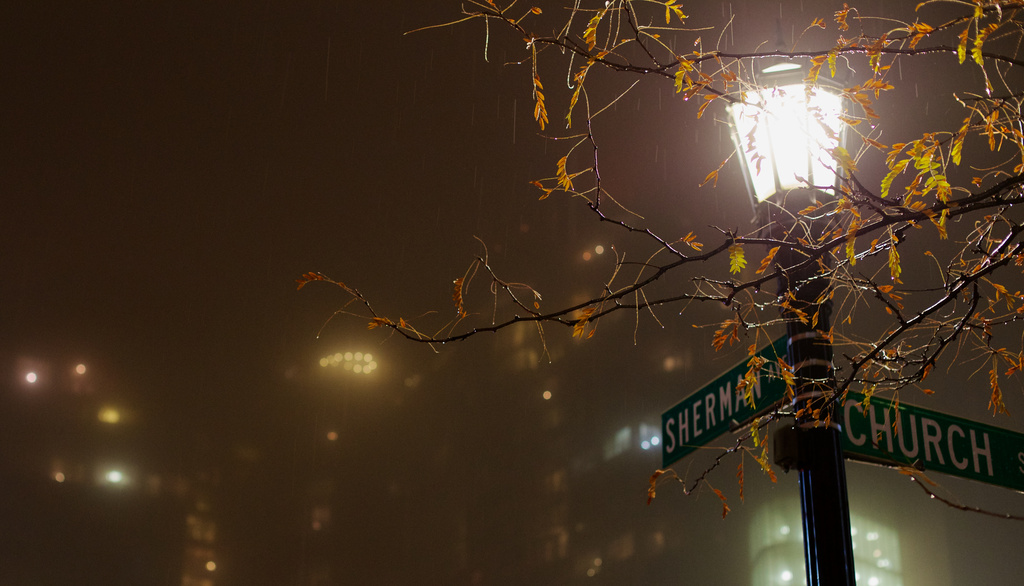 Foggy Fall Night by jyokota