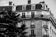 30th Oct 2013 - Parisian architecture