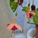 #300 Last flowering by denidouble