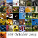 31stOctober 2013  October Mosaic by pamknowler
