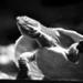 turtle by sugarmuser