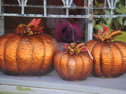 31st Oct 2013 - Pumpkins for Sale