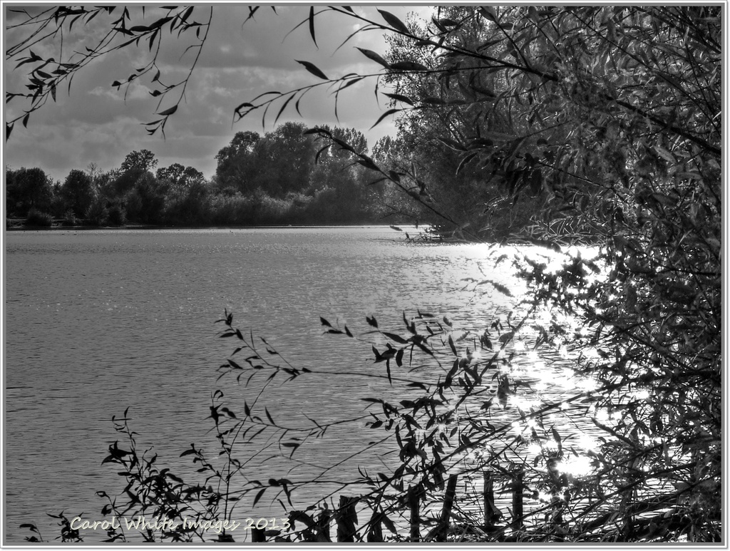 Sunlight On The Lake by carolmw