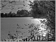 1st Nov 2013 - Sunlight On The Lake