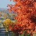 Autumn's Paint by genealogygenie