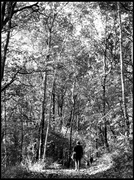 1st Nov 2013 - A Walk in the woods (Kodak T-MAX 100)