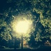Night scene at Colonial Lake by congaree