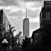 Freedom Tower from Washington Square Park by soboy5